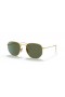 Ray-Ban RB8148 Hexagonal Titanium M (51 - 21) med Grønne linser og Guld ramme Solbriller