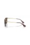 Ray-Ban RB4187 Chris M (54 - 18), med Brune linser og Brun ramme Solbriller