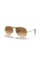 Ray-Ban RB3689 Aviator Metal II L (58 - 14) med Brune linser og Guld ramme Solbriller