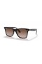 Ray-Ban RB4440N Blis Wayfarer L (0 - 141) med Brune linser og Tortoise frame Solbriller