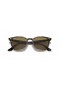 Ray-Ban RB4258 M (50 - 20) med Brune linser og Tortoise frame Solbriller