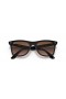 Ray-Ban RB4440N Blis Wayfarer L (0 - 141) med Brune linser og Tortoise frame Solbriller