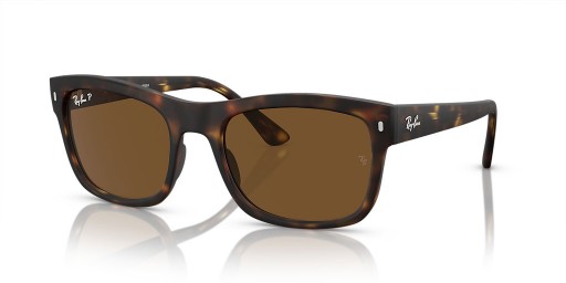 Ray-Ban RB4428 L (56 - 21) met Bruine lenzen en Schildpad frame Zonnebrillen
