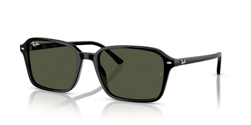 Ray-Ban RB2231F Raimond L (56 - 18) met Groene lenzen en Zwart frame Zonnebrillen