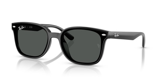 Ray-Ban RB4461D L (64 - 17) met Grijze lenzen en Zwart frame Zonnebrillen