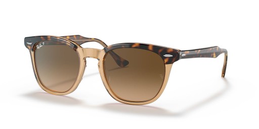 Ray-Ban RB2298F Hawkeye L (54 - 21) met Bruine lenzen en Schildpad frame Zonnebrillen