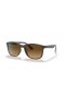 Ray-Ban RB4374 XL (56 - 19) met Bruine lenzen en Bruin frame Zonnebrillen