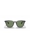Ray-Ban RB4258 M (50 - 20) met Groene lenzen en Zwart frame Zonnebrillen