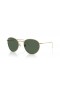 Ray-Ban RBR0103S Ronde Reverse-XL (55 - 21) met Groene lenzen en Goud frame Zonnebrillen