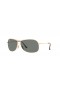 Ray-Ban RB3267 L (64 - 13) met Groene lenzen en Goud frame Zonnebrillen
