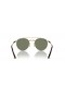 Ray-Ban RB8237 Ronde II Titanium S (50 - 20) met Groene lenzen en Goud frame Zonnebrillen