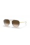 Ray-Ban RB3589 L (55 - 18) met Bruine lenzen en Bruin frame Zonnebrillen