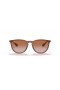 Ray-Ban RB4171 Erika Classic M (54 - 18) met Bruine lenzen en Bruin frame Zonnebrillen