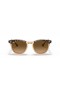 Ray-Ban RB2298F Hawkeye L (54 - 21) met Bruine lenzen en Schildpad frame Zonnebrillen