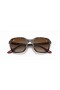 Ray-Ban RB4343M Scuderia Ferrari Collectie M (52 - 20) met Bruine lenzen en Schildpad frame Zonnebrillen
