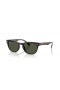 Ray-Ban RB4140 S (49 - 20) met Groene lenzen en Schildpad frame Zonnebrillen