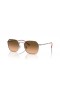 Ray-Ban RB3694 Jim L (53 - 20) met Roze lenzen en Zilver frame Zonnebrillen