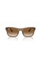 Ray-Ban RB4428 L (56 - 21) met Bruine lenzen en Bruin frame Zonnebrillen