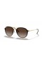 Ray-Ban RB4292N Blaze Dubbele Brug XL (61 - 14) met Bruine lenzen en Schildpad frame Zonnebrillen