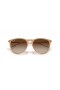 Ray-Ban RB4171 Erika Classic M (54 - 18) met Bruine lenzen en Bruin frame Zonnebrillen