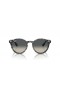 Ray-Ban RB7680S Larry M (51 - 21) met Grijze lenzen en Schildpad frame Zonnebrillen