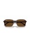 Ray-Ban RB2231 Raimond L (56 - 18) met Bruine lenzen en Schildpad frame Zonnebrillen
