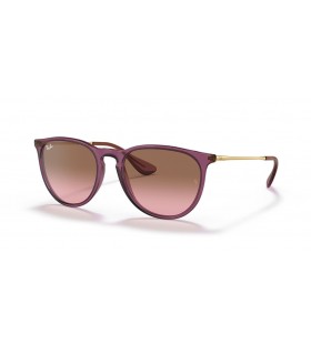Ray-Ban RB4171 Erika Classic M (54 - 18) met Roze lenzen en Violet frame Zonnebrillen
