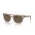 Ray-Ban RB4426 Phil Bio-Based L (54 - 21) met Bruine lenzen en Bruin frame Zonnebrillen