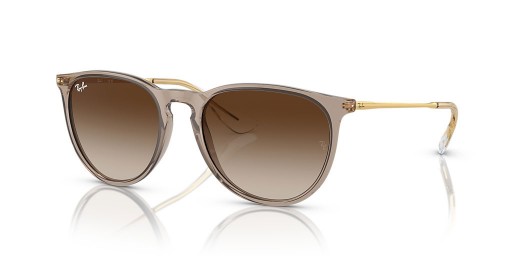 Ray-Ban Erika RB4171 Classic M (54 - 18) Ruskea linssit ja Ruskea runko Aurinkolasit