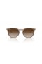 Ray-Ban Erika RB4171 Classic M (54 - 18) Ruskea linssit ja Ruskea runko Aurinkolasit