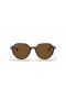 Ray-Ban RB2195 Thalia S (53 - 18) Ruskea linssit ja Kilpikonnan runko Aurinkolasit