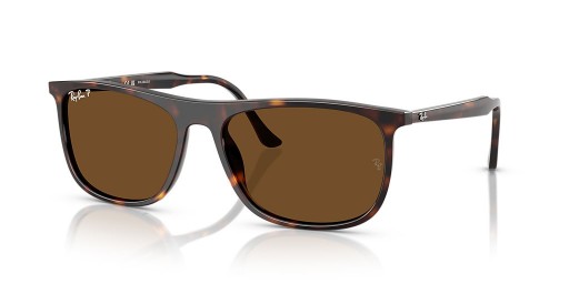 Ray-Ban RB2216 XL (58 - 18) avec des lentilles Brunes et Tortoise frame Lunettes de soleil