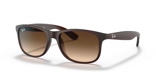 Ray-Ban RB4202 Andy M (55 - 17) avec des lentilles Brunes et Brown frame Lunettes de soleil