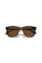 Ray-Ban RB2210 L (53 - 21) avec des lentilles Brunes et Tortoise frame Lunettes de soleil