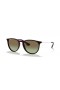 Ray-Ban RB4171 Erika Classique M (54 - 18) avec les lentilles Vertes et Noir frame Lunettes de soleil