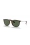 Ray-Ban RB4171 Erika Classique M (54 - 18) avec les lentilles Vertes et Tortoise frame Lunettes de soleil