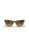 Ray-Ban RB4640 M (50 - 20) avec des lentilles Brunes et Tortoise frame Lunettes de soleil