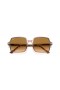 Ray-Ban RB1973 Square II L (53 - 20) avec des lentilles Brunes et Brown frame Lunettes de soleil