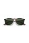 Ray-Ban RB4187 Chris M (54 - 18) avec les lentilles Vertes et Tortoise frame Lunettes de soleil