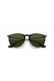 Ray-Ban RB4171F Erika Classique M (54 - 18) avec les lentilles Vertes et Noir frame Lunettes de soleil