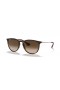 Ray-Ban RB4171F Erika Classique M (54 - 18) avec des lentilles Brunes et Tortoise frame Lunettes de soleil