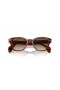 Ray-Ban RB0880S L (52 - 19) avec des lentilles Brunes et Brown frame Lunettes de soleil