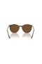 Ray-Ban RB2204 S (51 - 20) avec des lentilles Brunes et Brown frame Lunettes de soleil
