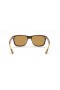 Ray-Ban RB4181 M (57 - 16) avec des lentilles Brunes et Tortoise frame Lunettes de soleil