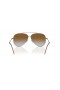 Ray-Ban RBR0101S Aviator Inverse L (59 - 11) avec des lentilles Brunes et Silver frame Lunettes de soleil