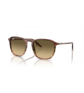Ray-Ban RB2203 M (52 - 20) avec des lentilles Brunes et Brown frame Lunettes de soleil