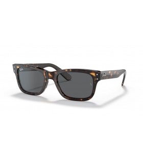 Ray-Ban RB2283 Burbank XL (55 - 20) avec des lentilles Grises et Tortoise frame Lunettes de soleil