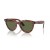 Ray-Ban RB2241 Wayfarer FaÃ§on XL (54 - 21) avec les lentilles Vertes et Brunes frame Lunettes de soleil