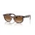 Ray-Ban RB2242 Wayfarer Ovale M (50 - 22) avec des lentilles Brunes et Tortoise frame Lunettes de soleil