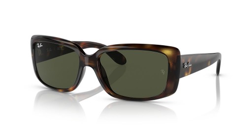 Ray-Ban RB4389 L (58 - 17) mit Grünen Gläsern und Tortoise frame Sonnenbrillen